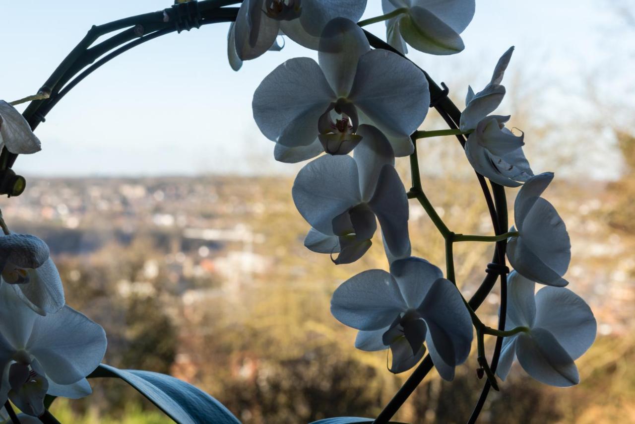 Le Refuge Apartment Namur Bagian luar foto